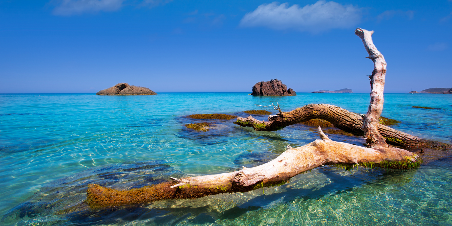 Aguas Blancas