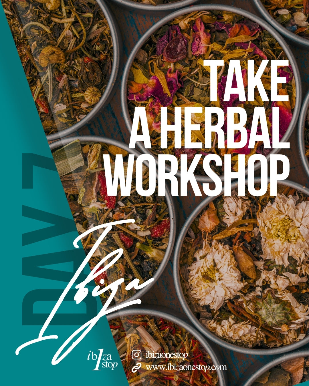 Embrace Wellness and Culinary Creativity: Herbal Workshops and Herbal Liquor Workshops in Ibiza
