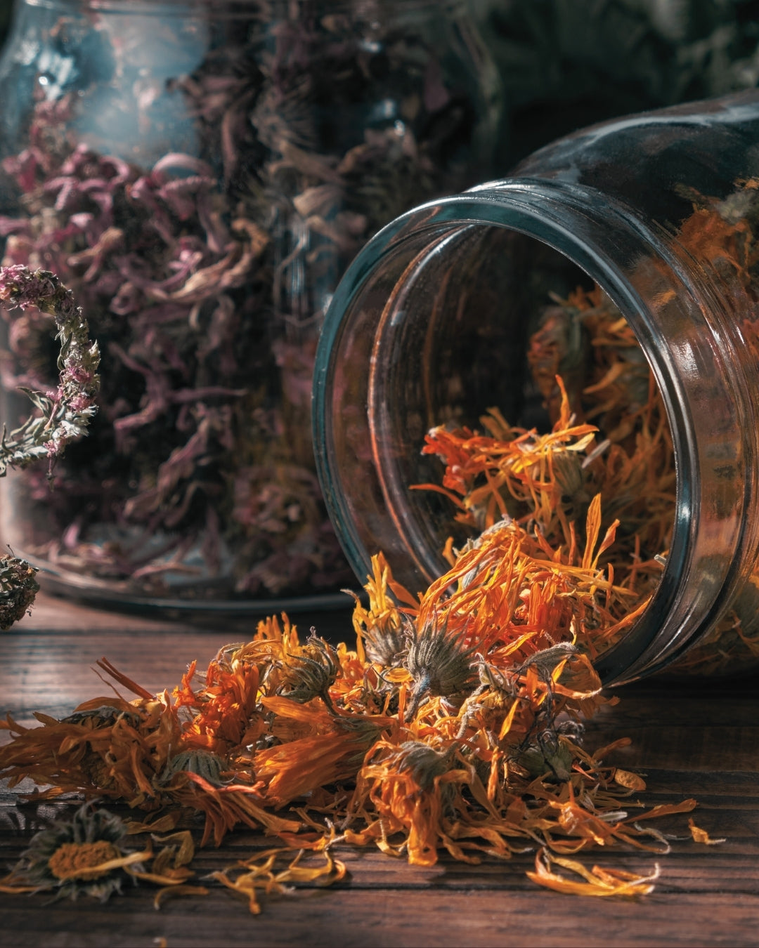 Embrace Wellness and Culinary Creativity: Herbal Workshops and Herbal Liquor Workshops in Ibiza