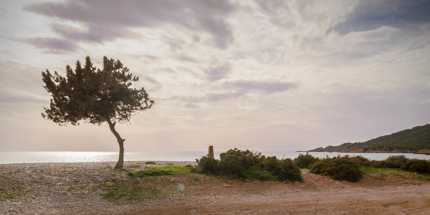 Cala Codolar
