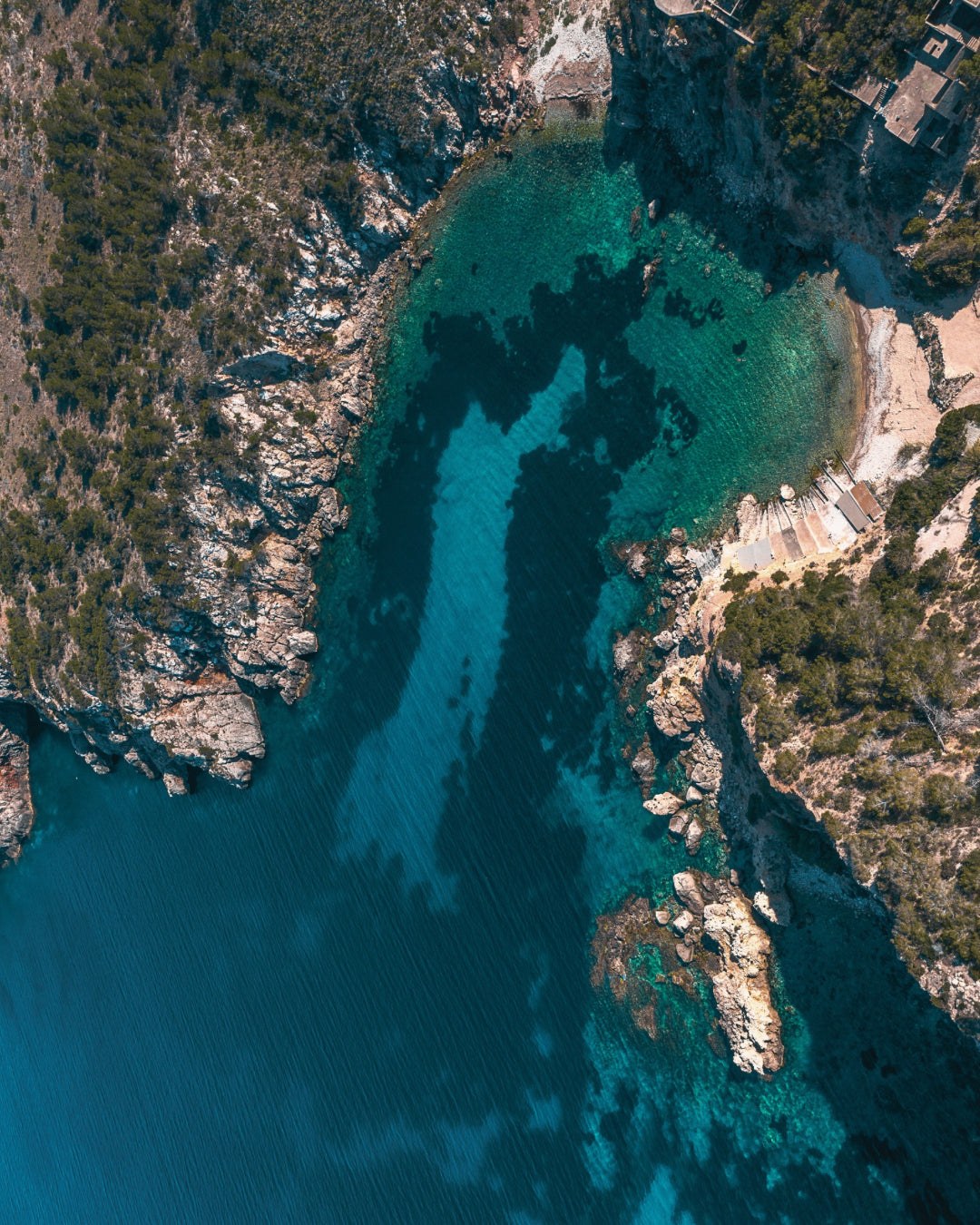 Dive into Sustainability: Join a Seafood Sustainable Fishing Tour in Ibiza