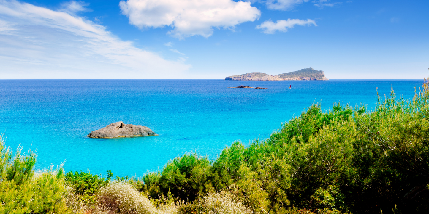 Aguas Blancas