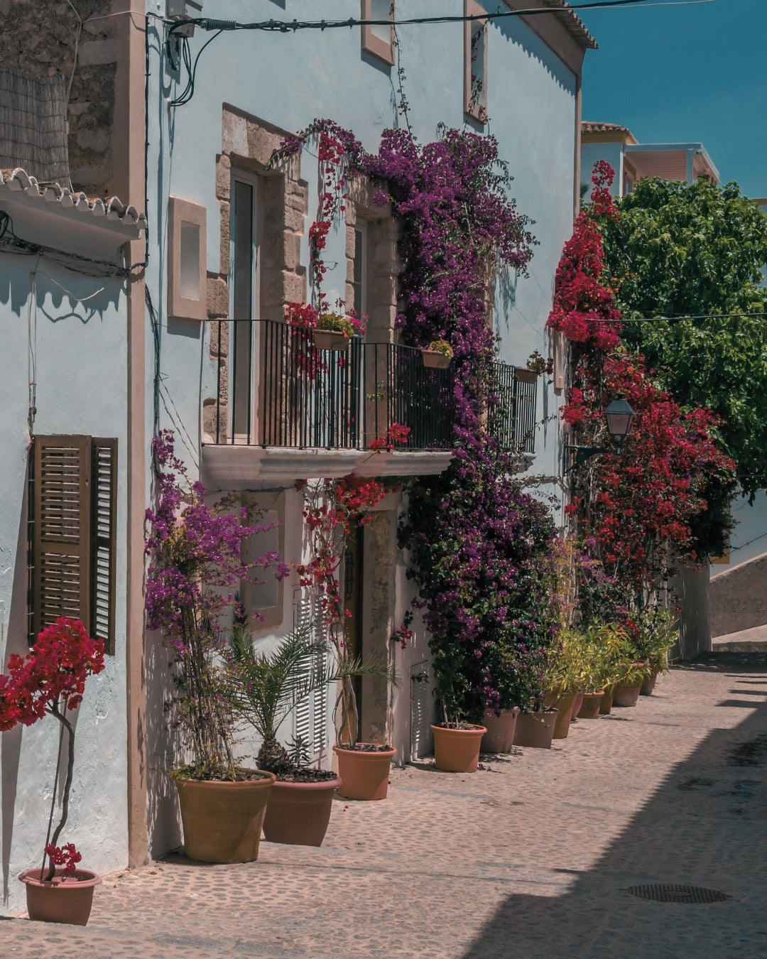 Cycling Through History: Exploring Ibiza Town on Two Wheels
