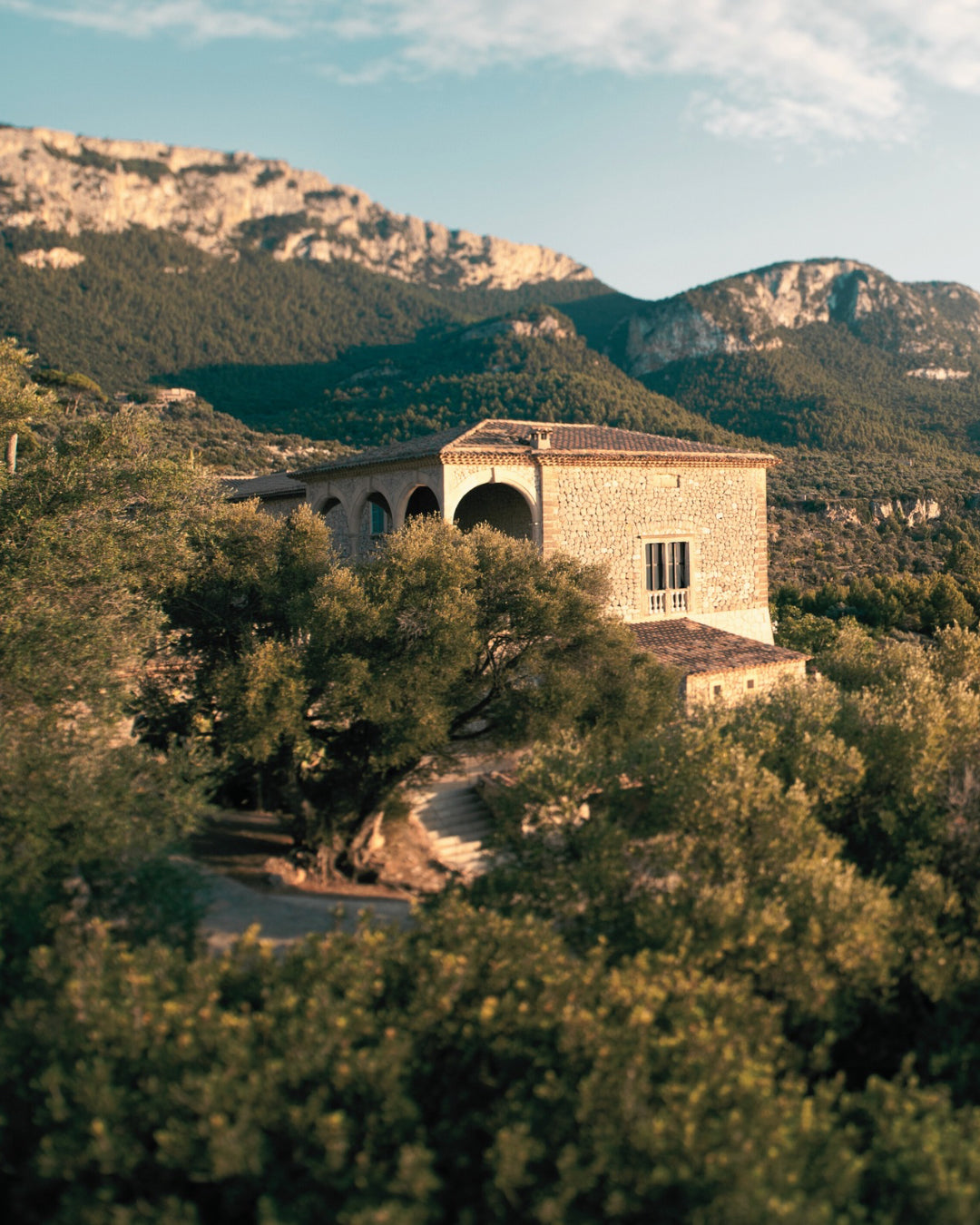 Experience the Magic of Ibiza: Enjoy a Moonlit Dinner in the Countryside