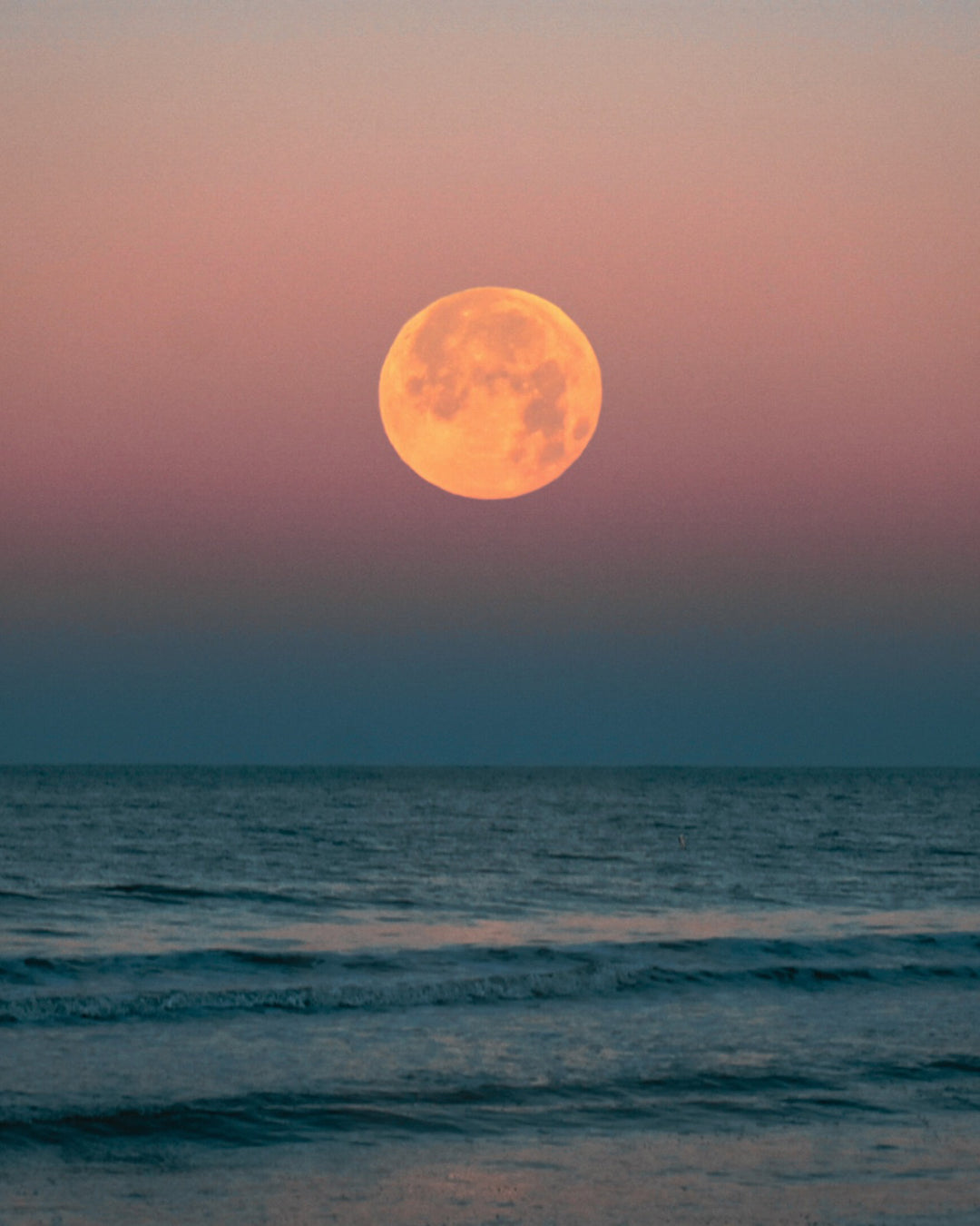 Experience the Magic of Ibiza: Enjoy a Moonlit Dinner in the Countryside