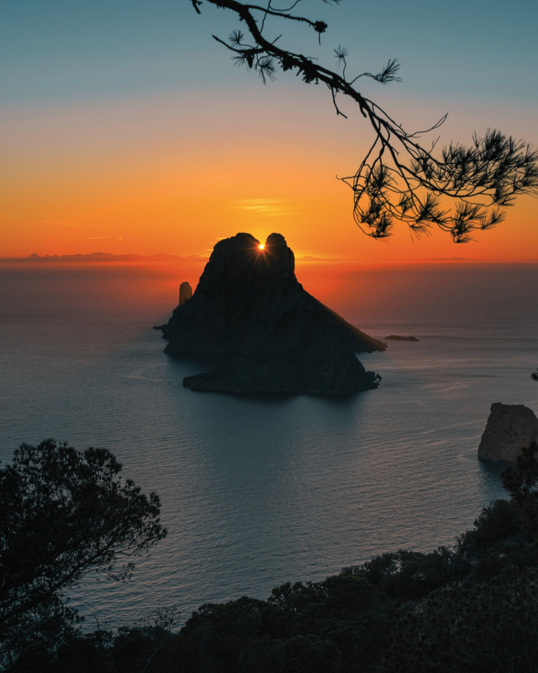 Discover the Wonders of the Ibiza Aquarium Cap Blanc