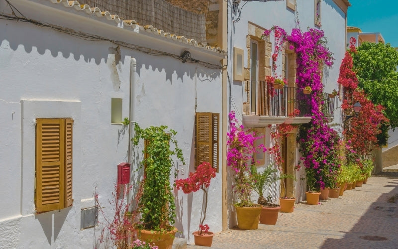 Ibiza Transportation Guide: How to Get Around the Island