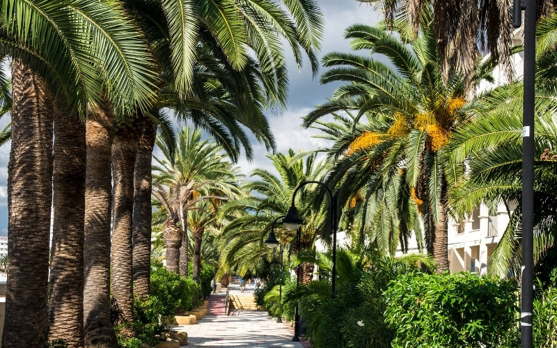 Ibiza With Kids Can Be Completely Free