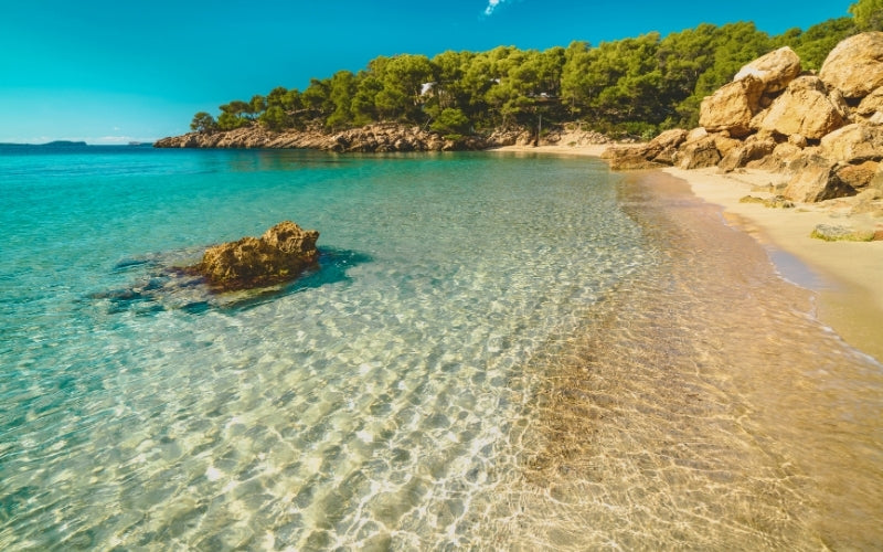 The Best Beaches in Ibiza: A Complete Guide to the Island's Most Beautiful Coves