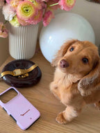 Doxie Love MagSafe