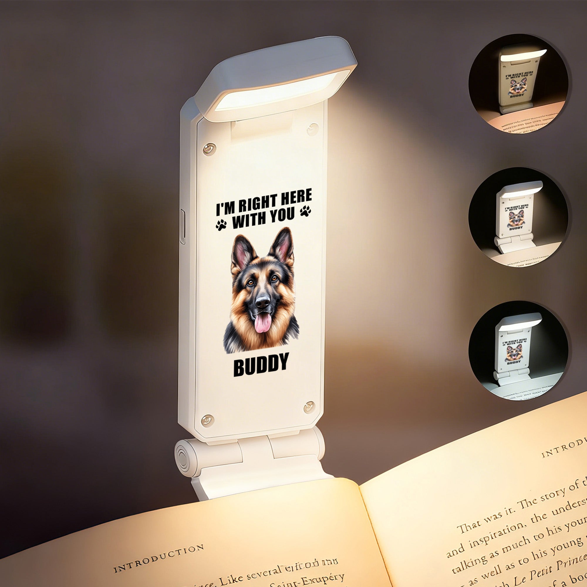 Clip luminoso recargable con LED y nombre personalizado con foto de mascota de dibujos animados Accesorio de lectura Regalo de cumpleaños para dueños de mascotas Amantes de los libros Ratones de bibli
