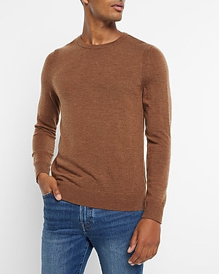 Express Men's Merino Wool Crew Neck Sweater in Coffee Bean
