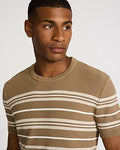 Express Men's Textured Striped Short Sleeve Sweater in Walnut