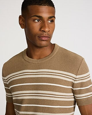 Express Men's Textured Striped Short Sleeve Sweater in Walnut