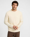 Express Men's Felted Crew Neck Sweater in Cabana