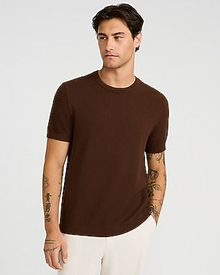 Express Men's Textured Cotton Crew Neck Sweater T-Shirt in Brown Small