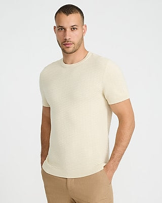 Express Men's Textured Cotton Crew Neck Sweater T-Shirt in Neutral Small