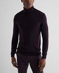 Express Men's Turtleneck Merino Wool Sweater in Dark Purple