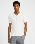 Express Men's Cotton Textured Striped Johnny Collar Short Sleeve Sweater Polo in White Small