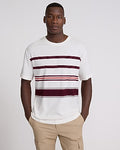 Express Men's Striped Perfect Pima Cotton T-Shirt in White Small