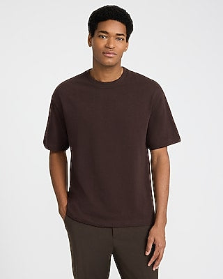 Express Men's Classic Fit Premium Weight T-Shirt in Brown Small