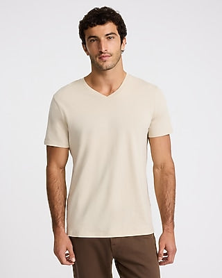 Express Men's V-Neck Perfect Pima Cotton T-Shirt in Oyster