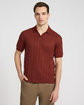 Express Men's Classic Fit Ribbed Open Knit Johnny Collar Cotton Polo in Brown Small