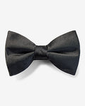 Express Men's Solid Bow Tie in Black