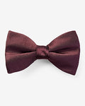 Express Men's Solid Bow Tie in Red