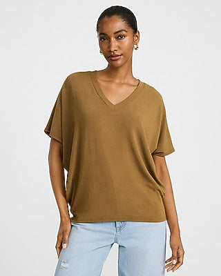 Express Women's Relaxed Crepe V-Neck Short Sleeve Sweater in Brown Small
