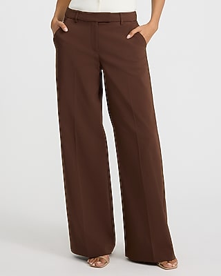 Express Women's Editor Stretch Cotton Mid Rise Wide Leg Palazzo Pant in Brown 0