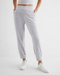 Express Women's High Waisted Velour Joggers in Cloud