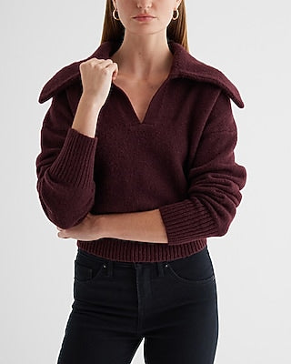 Express Women's V-Neck Long Sleeve Polo Sweater in Wine