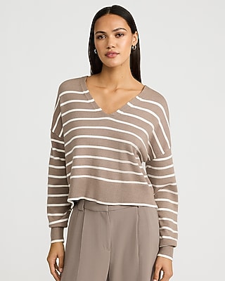 Express Women's Ultrasoft Relaxed Striped V-Neck Sweater in Brown Small