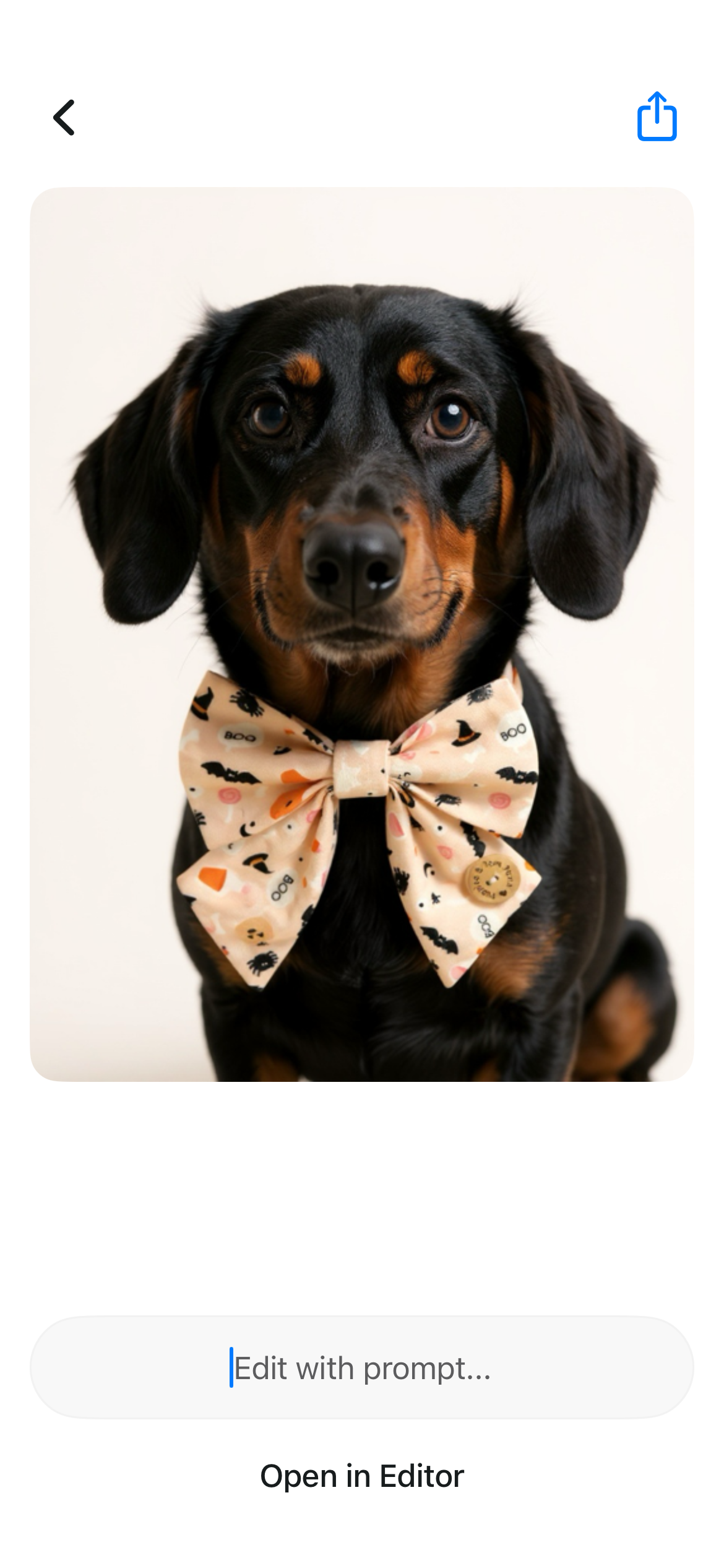 Handmade Dog Sailer Bow Tie - Halloween