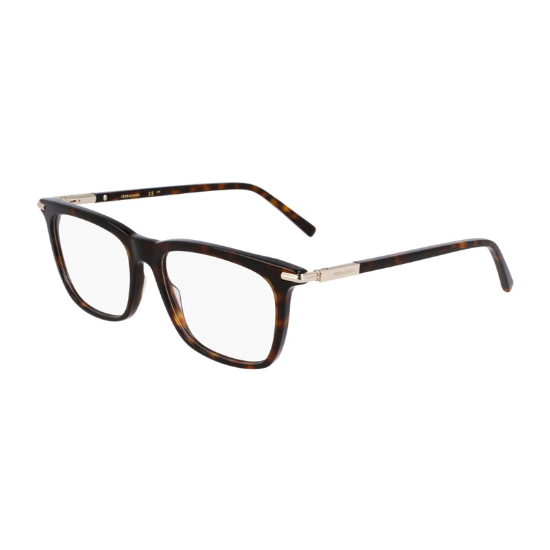 Ferragamo SF3007242 Tortoiseshell Acetate Eyeglasses — Brown