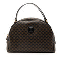 Macadam Coated Canvas Dome Handbag