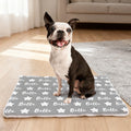Alfombrilla personalizada multicolor para mascotas con nombre Actividad al aire libre Descanso interior Regalo de cumpleaños para los amantes de las mascotas