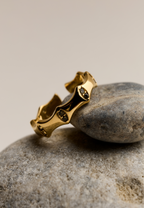 Anillo Fez