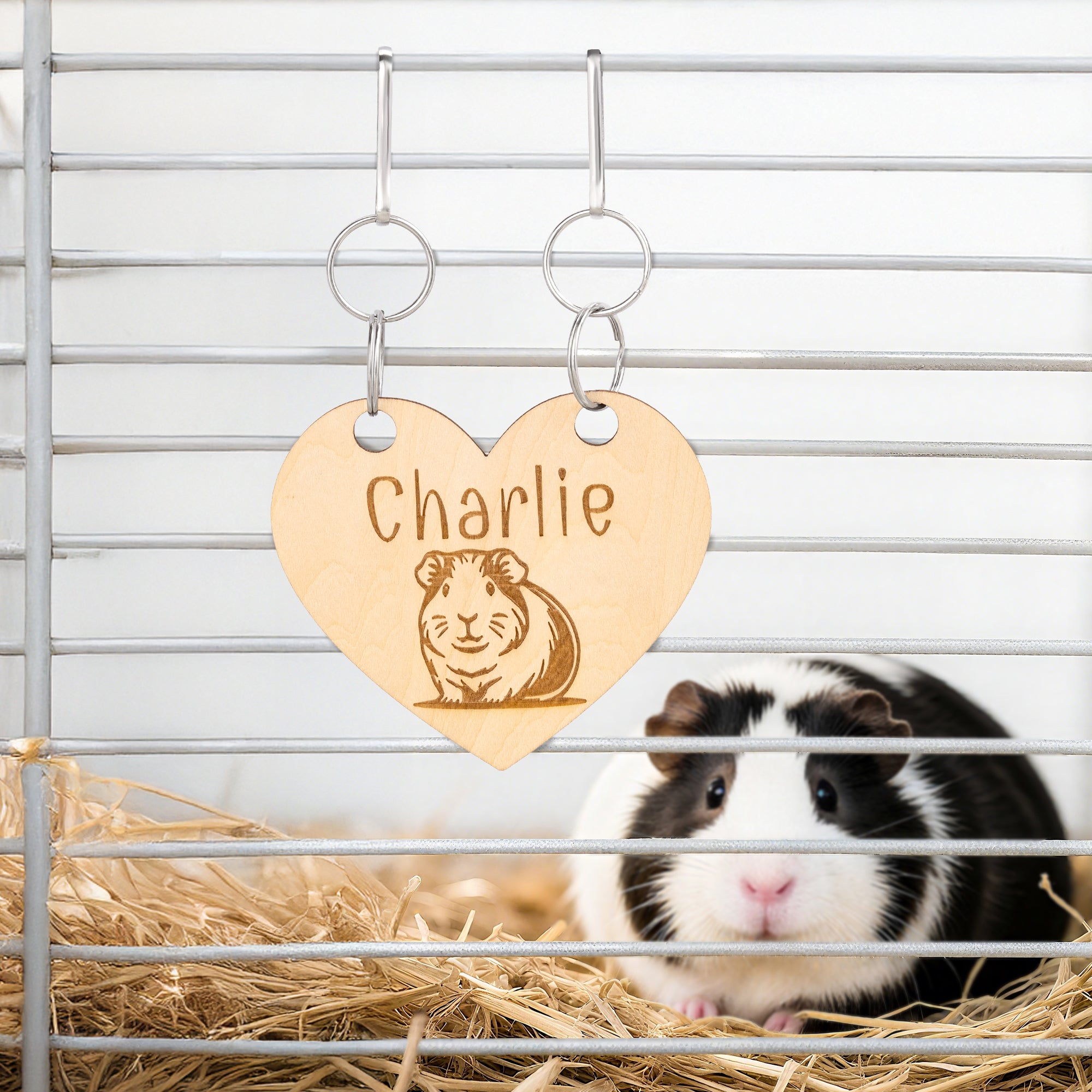 Placa de madera personalizada con el nombre de una simpática cobaya Regalo de aniversario para los amantes de las mascotas