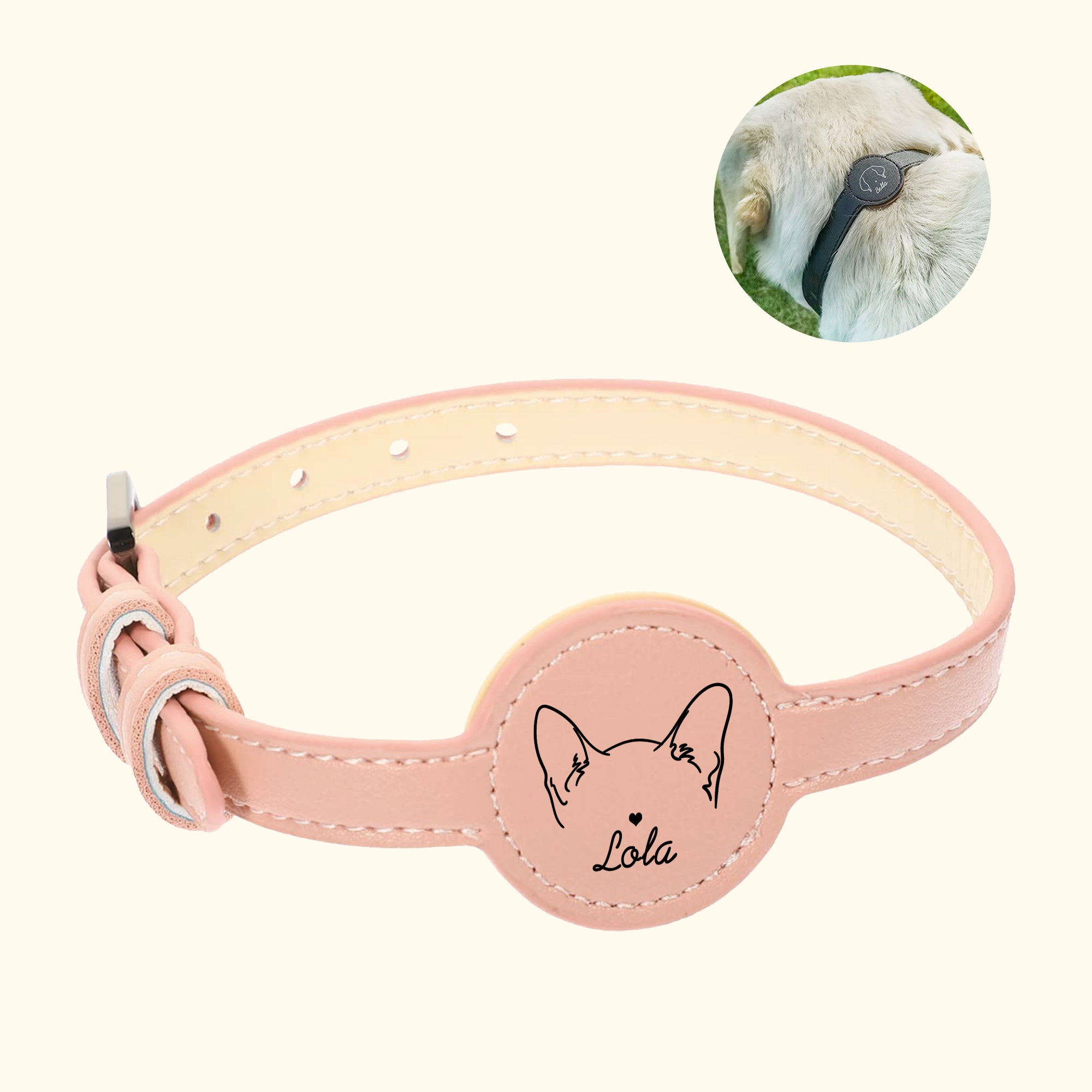 Personalizada línea de estilo perro gato diseño collar de mascota con el titular de la etiqueta de aire y el nombre de accesorios al aire libre Pet Party regalo de cumpleaños para los dueños de mascot