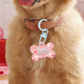 Personalizada Lip Love Paw Print Acrílico en forma de hueso etiqueta de identificación de mascotas con nombre y número de teléfono Uso diario Cumpleaños Día de la Adopción Regalo para Pet Lover Dueño