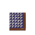 Women's Multicolor Silk Scarf