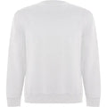 Sudadera Unisex en Algodón Orgánico Peinado y Poliéster Reciclado Vetonek