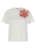 Women's Multicolor Cotton T-Shirt