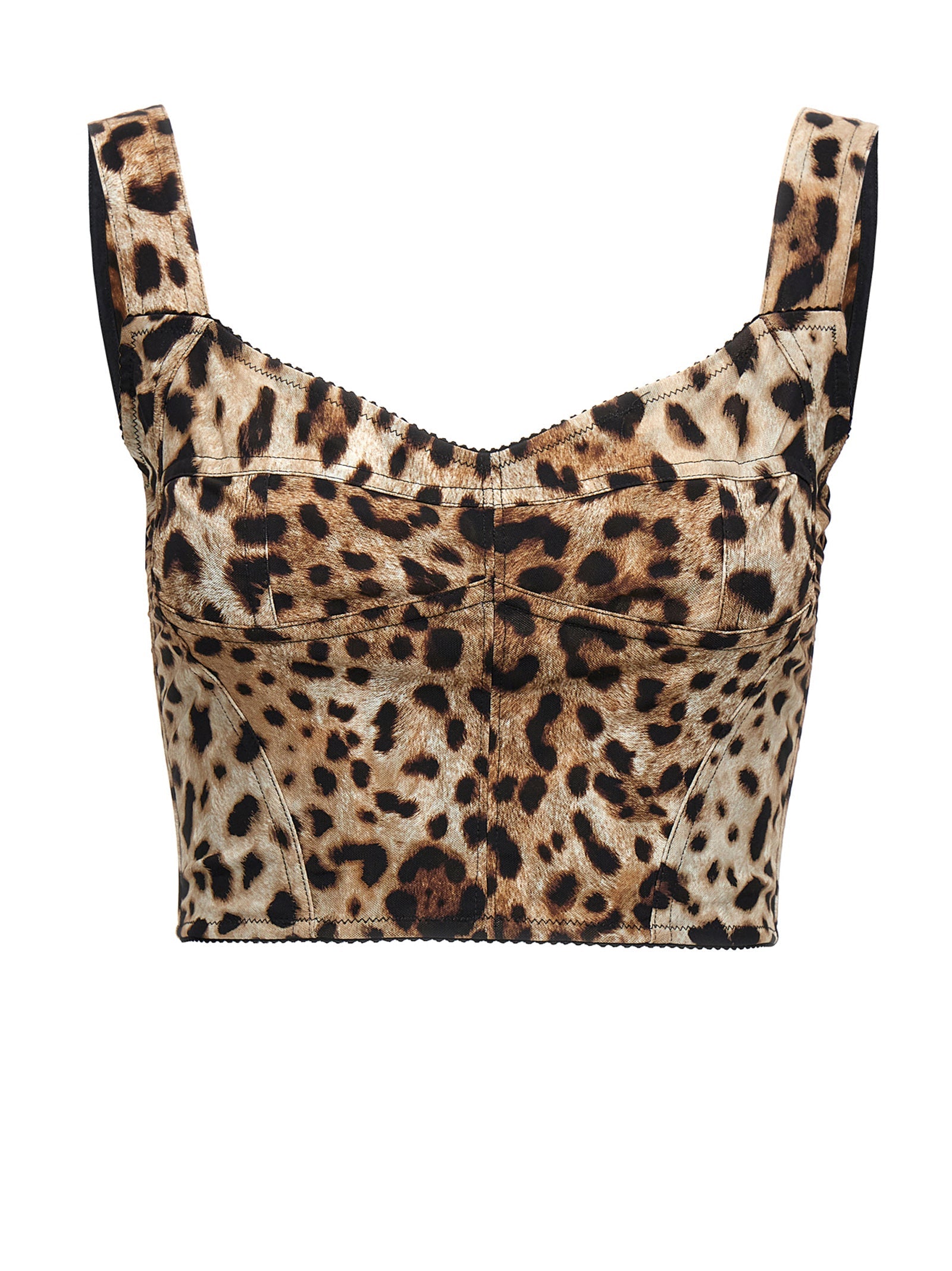 Dolce & Gabbana Leopardo Bustier Top — Multicolor