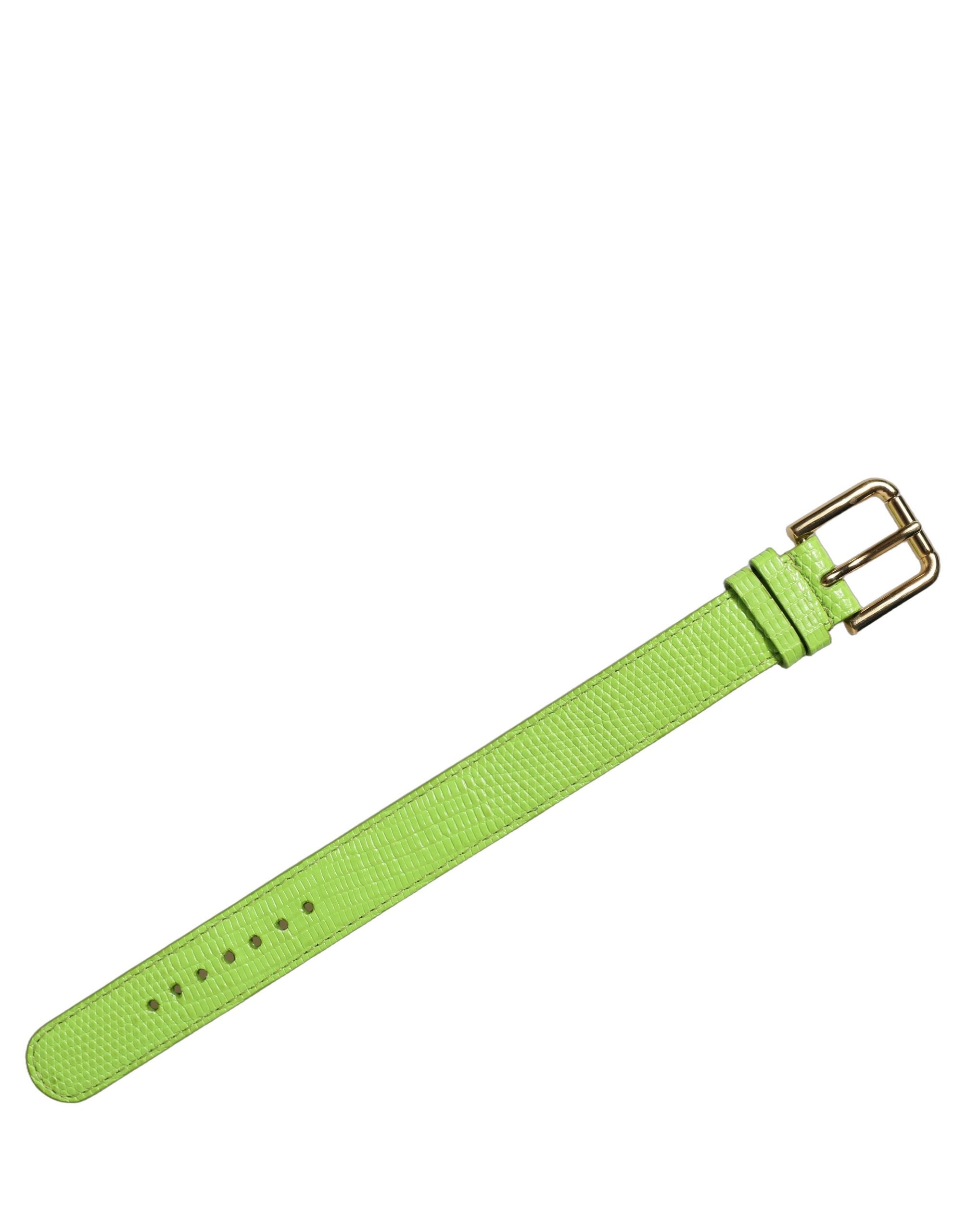Dolce & Gabbana Textured Calf Leather Belt — Green
