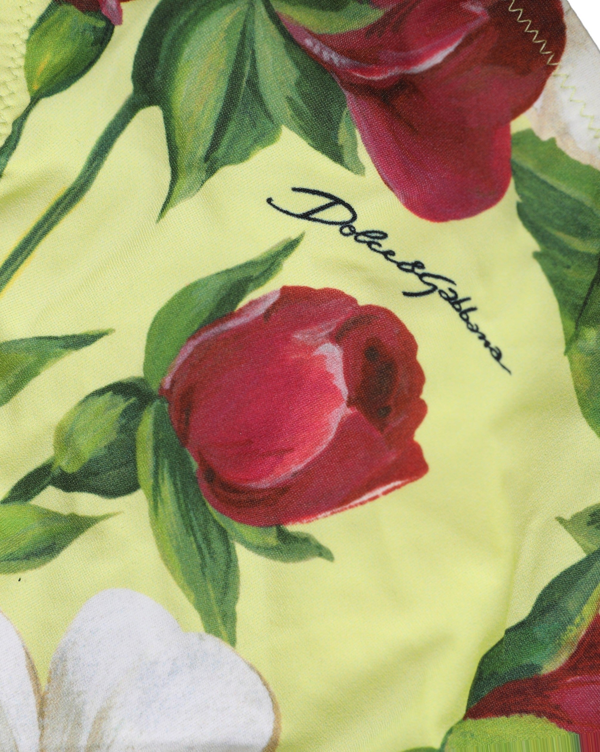 Dolce & Gabbana Floral Print Nylon Bikini Bottom — Yellow