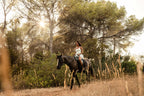 Exclusive Horseback Ride with Nature Surrounded Picnic