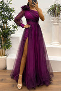One Shoulder Long Sleeve High Waist Printed Mesh Slit Maxi Dress